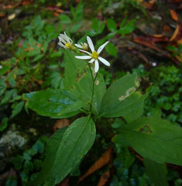 P1150563