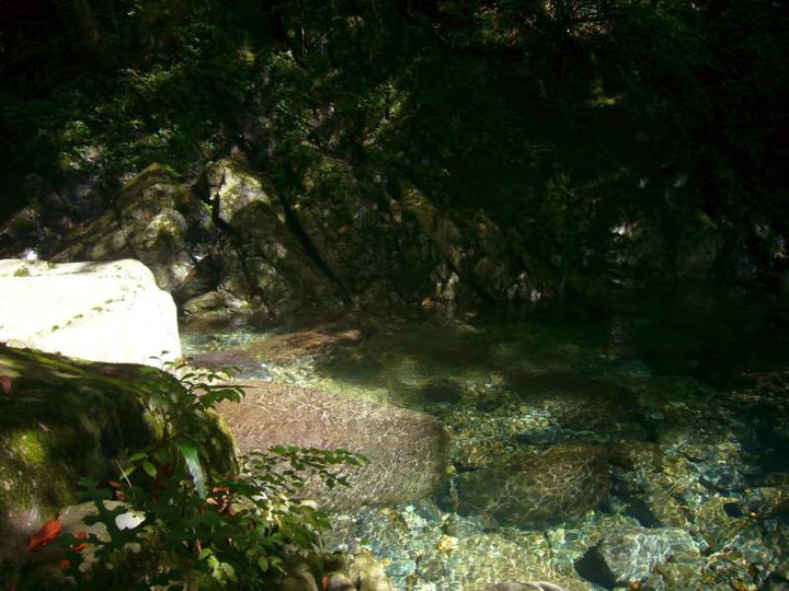 P1150567