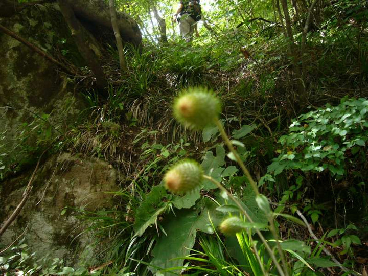 P1150589