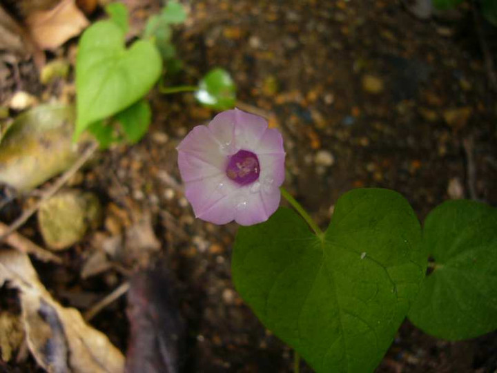 P1150772