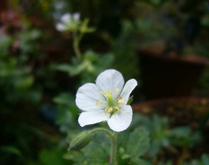 P1150780