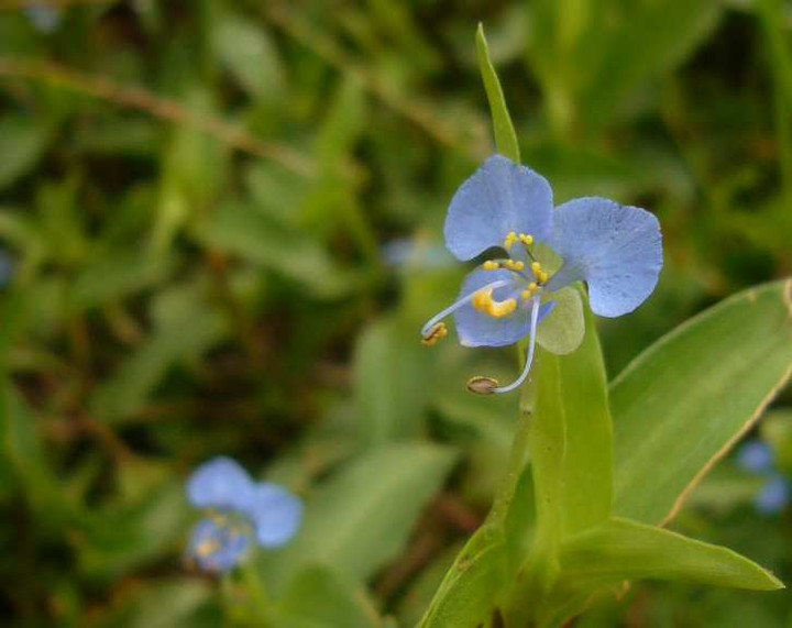 P1150637