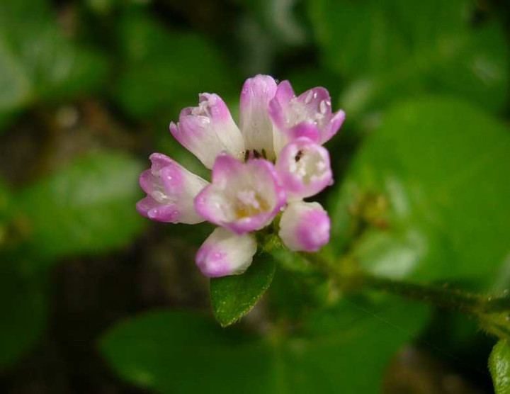 P1150649