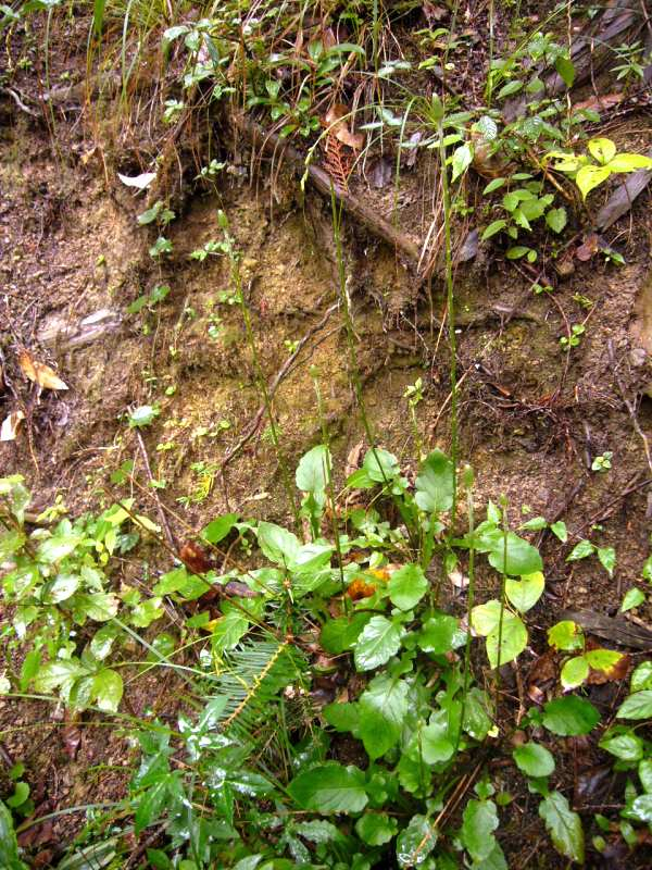 P1150656