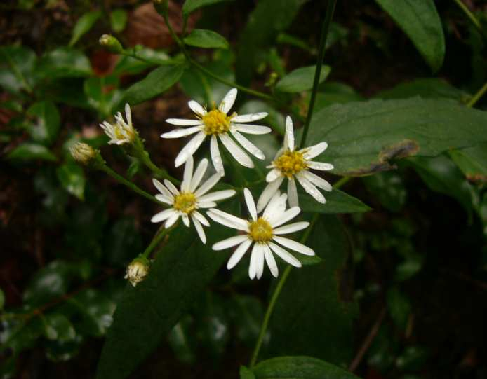 P1150661