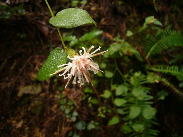 P1150662