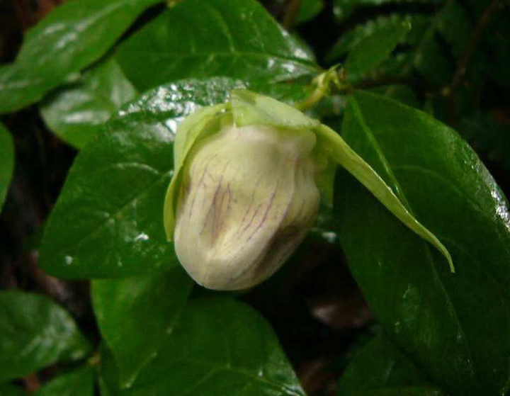P1150666