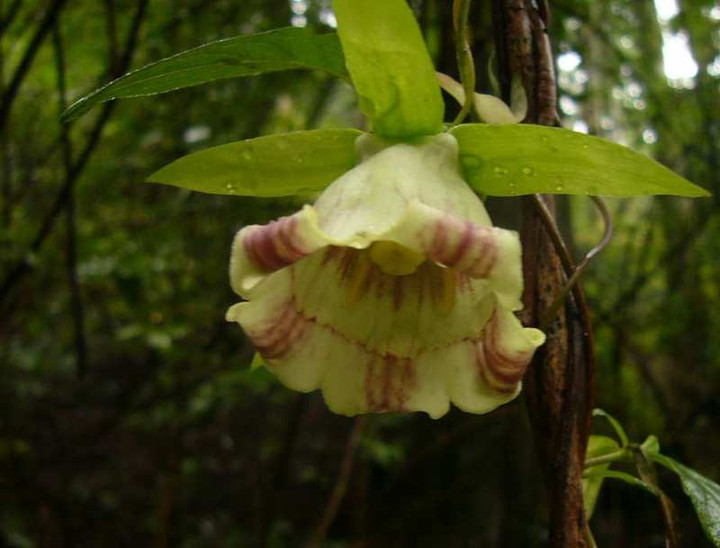 P1150683