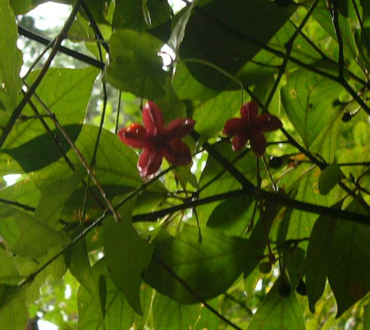 P1150687