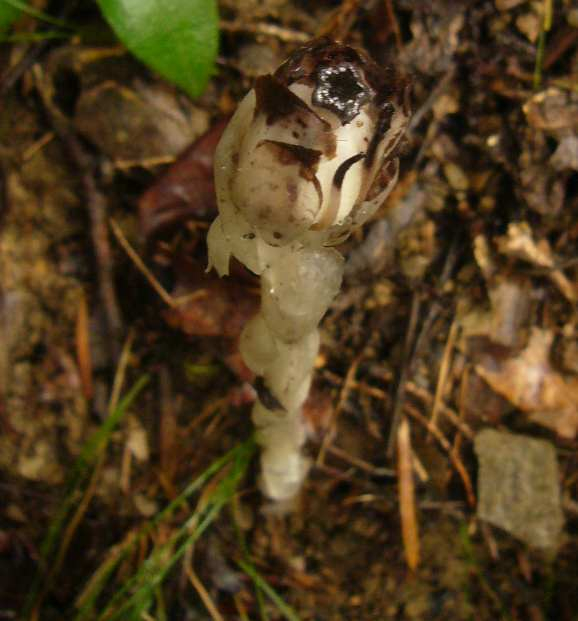 P1150724_2