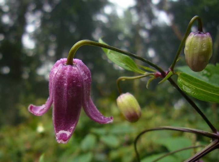 P1150726