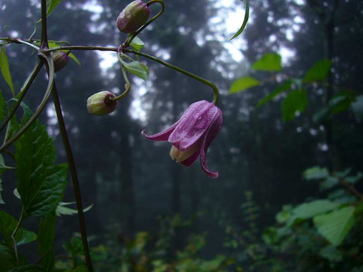 P1150735