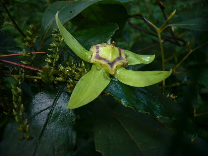 P1150752