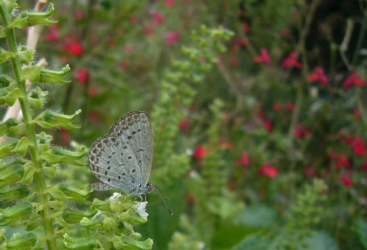 P1150860