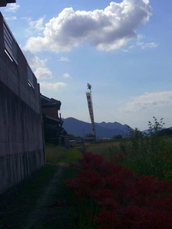 P1160045