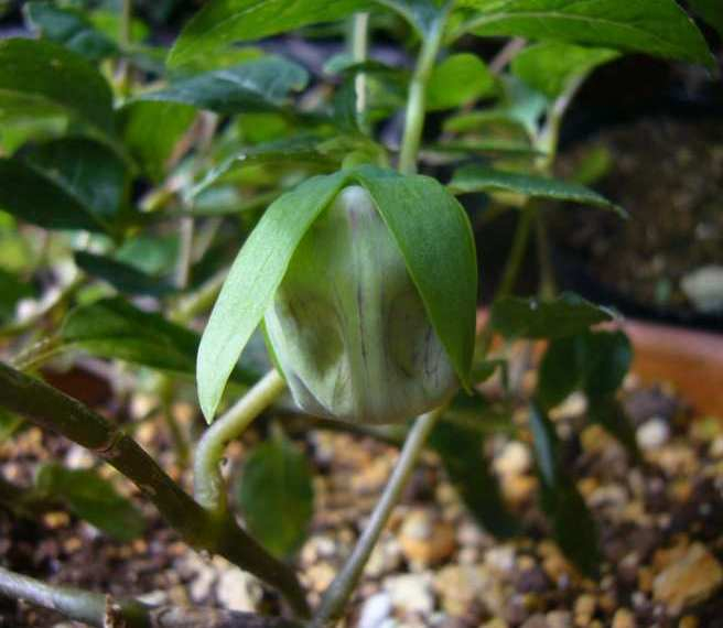 _system_a1191584286kikoka_1