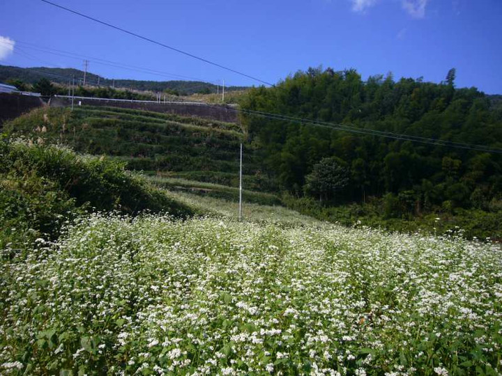 P1160090_2