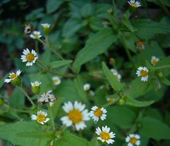 P1160100