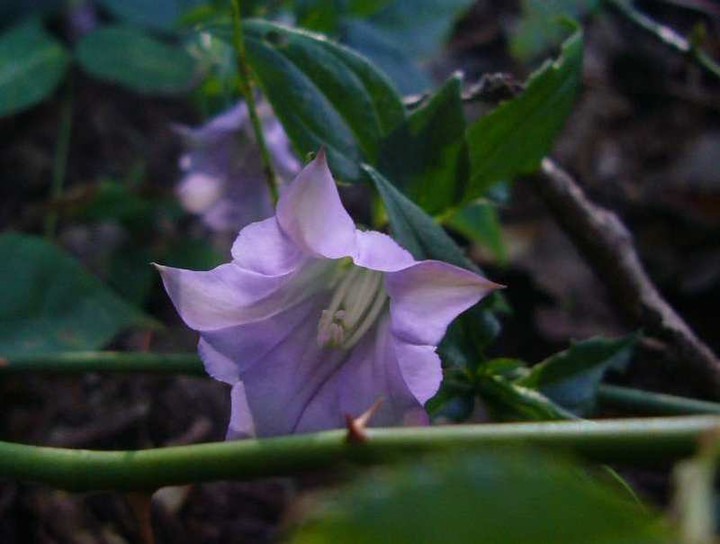 P1160147