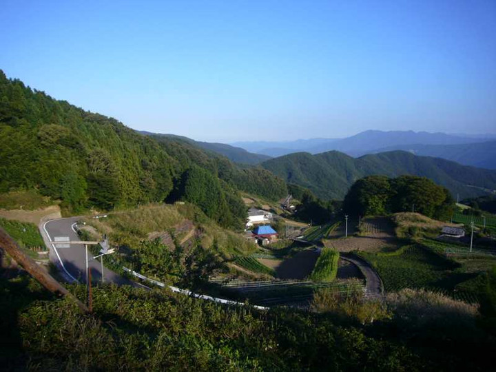 P1160338