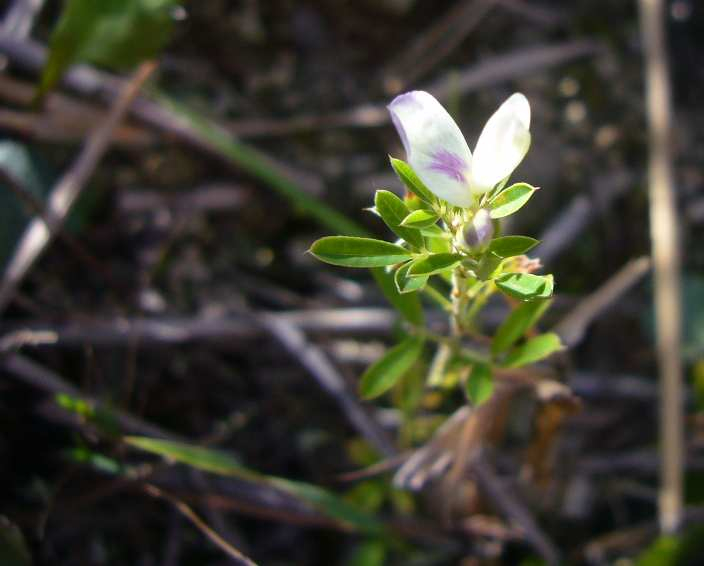 P1160133