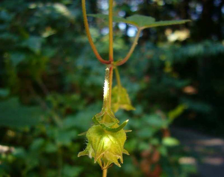 P1160135