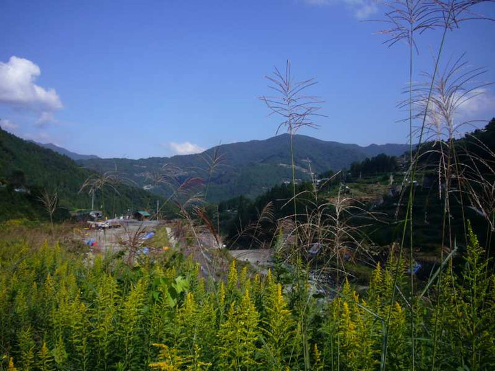 P1160450