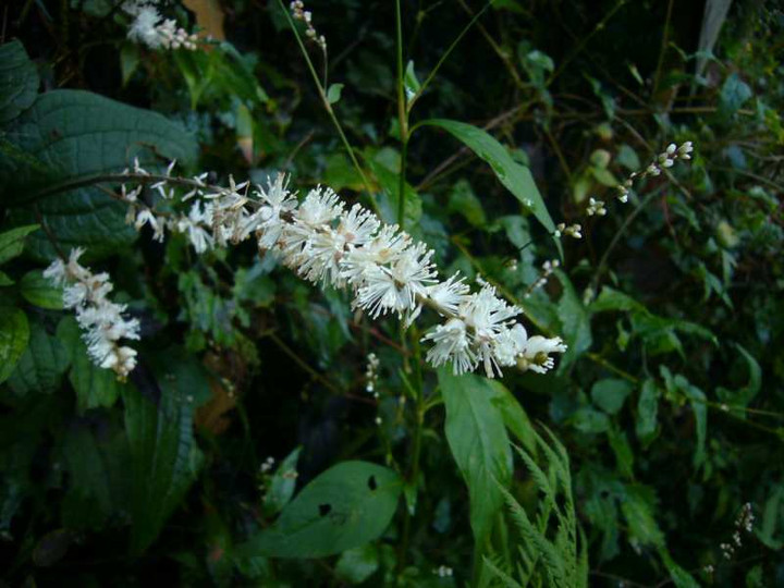 P1160711