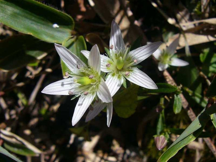 P1160530