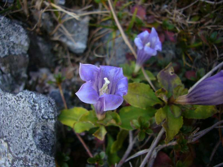 P1160557
