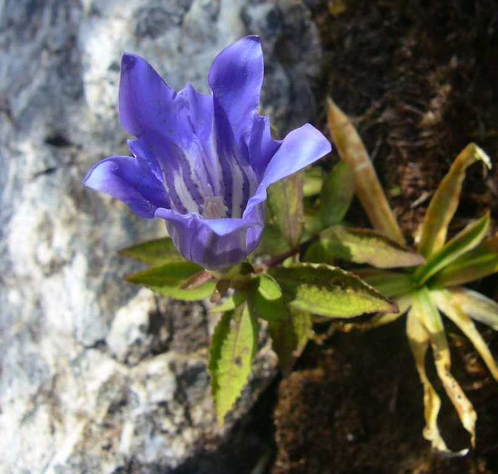 P1160671