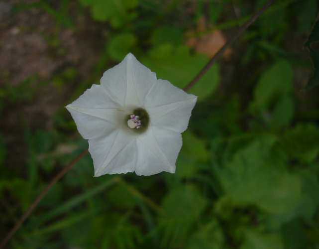 P1160855