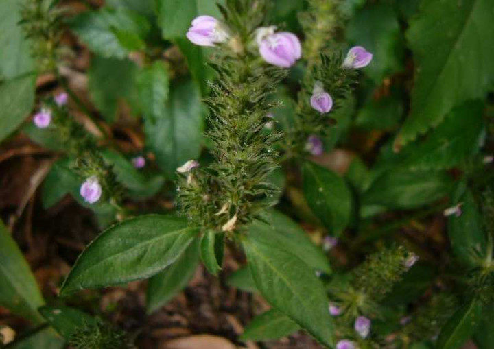 P1160856