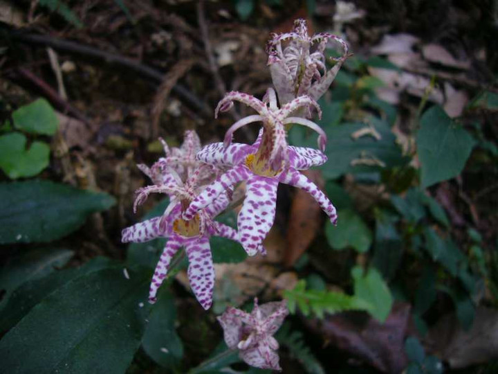 P1160860