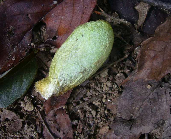 P1160863