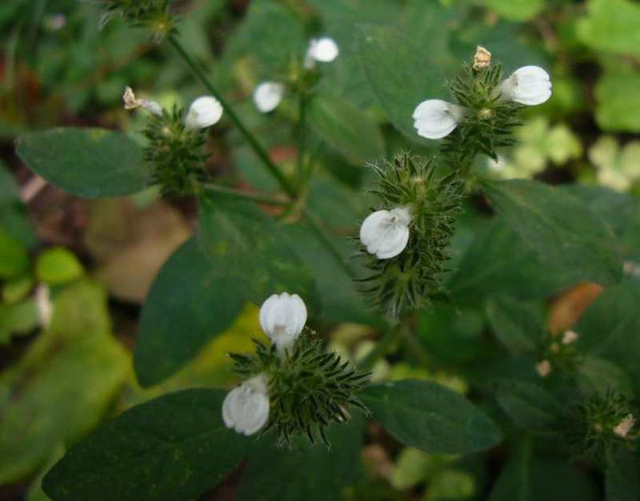 P1160878