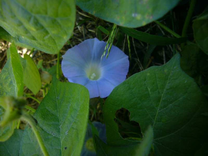 P1170108