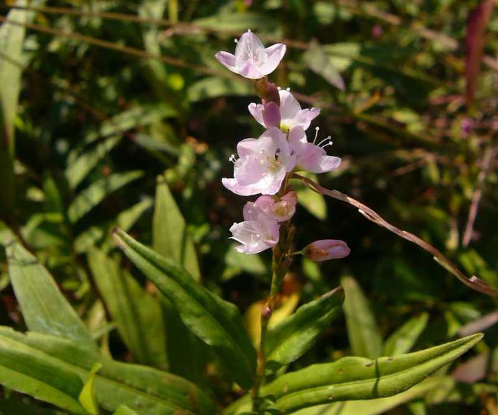 P1170031