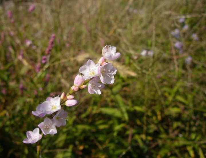 P1170034