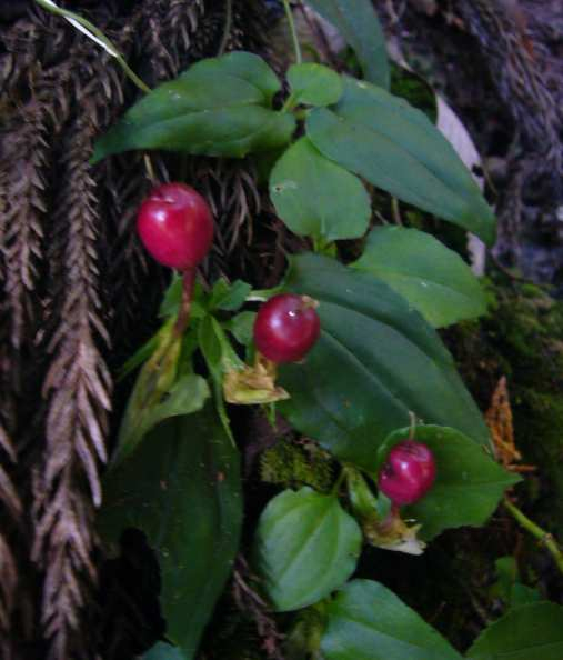 P1170314
