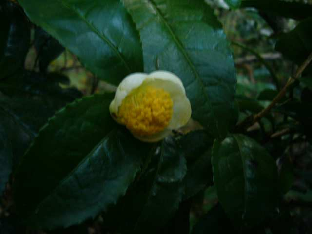 P1170636