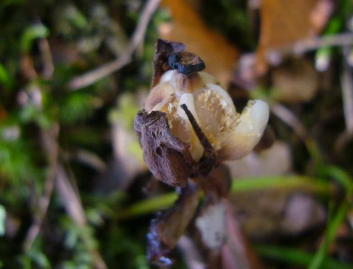 P1170395