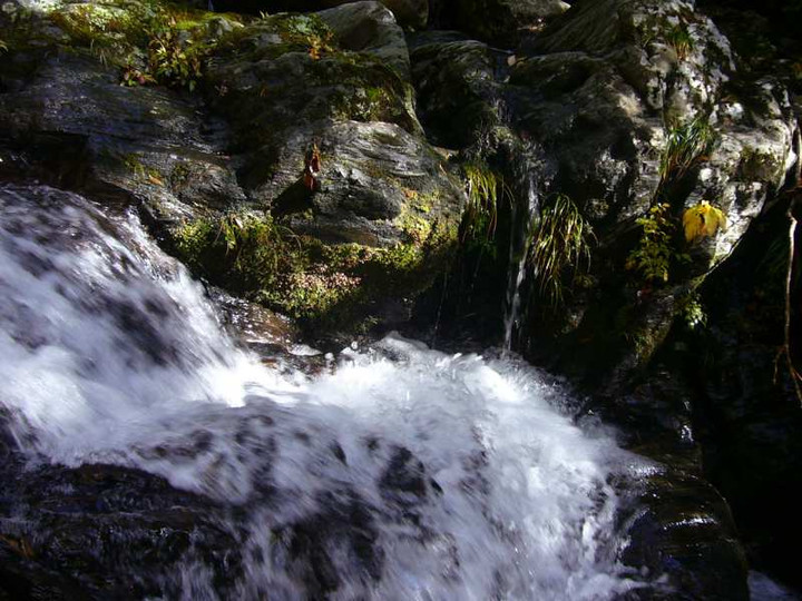 P1170409