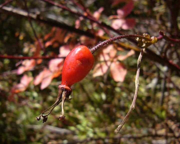 P1170467