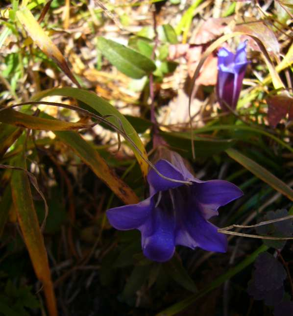 P1170503