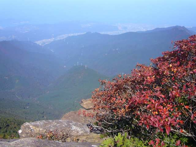 P1170528