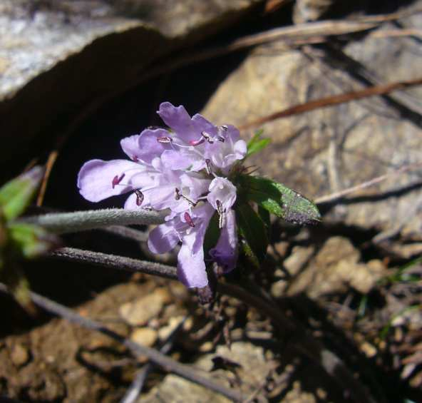 P1170539