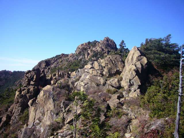 P1170542