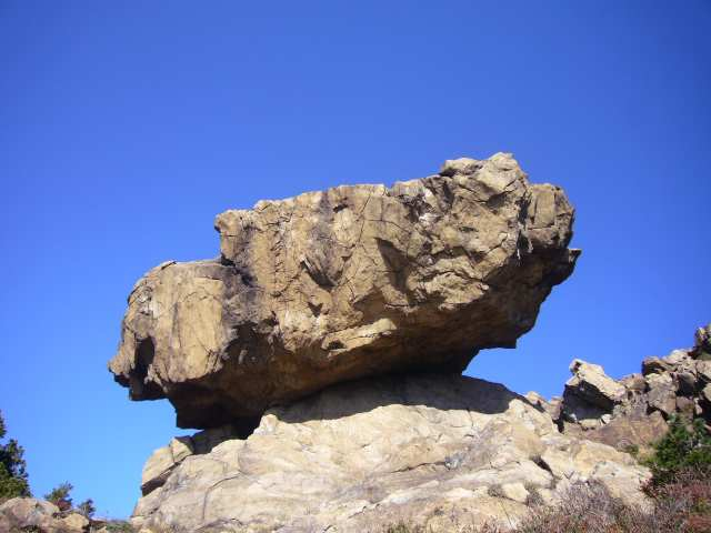 P1170569