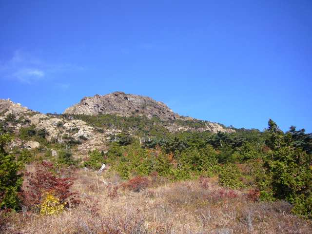 P1170593